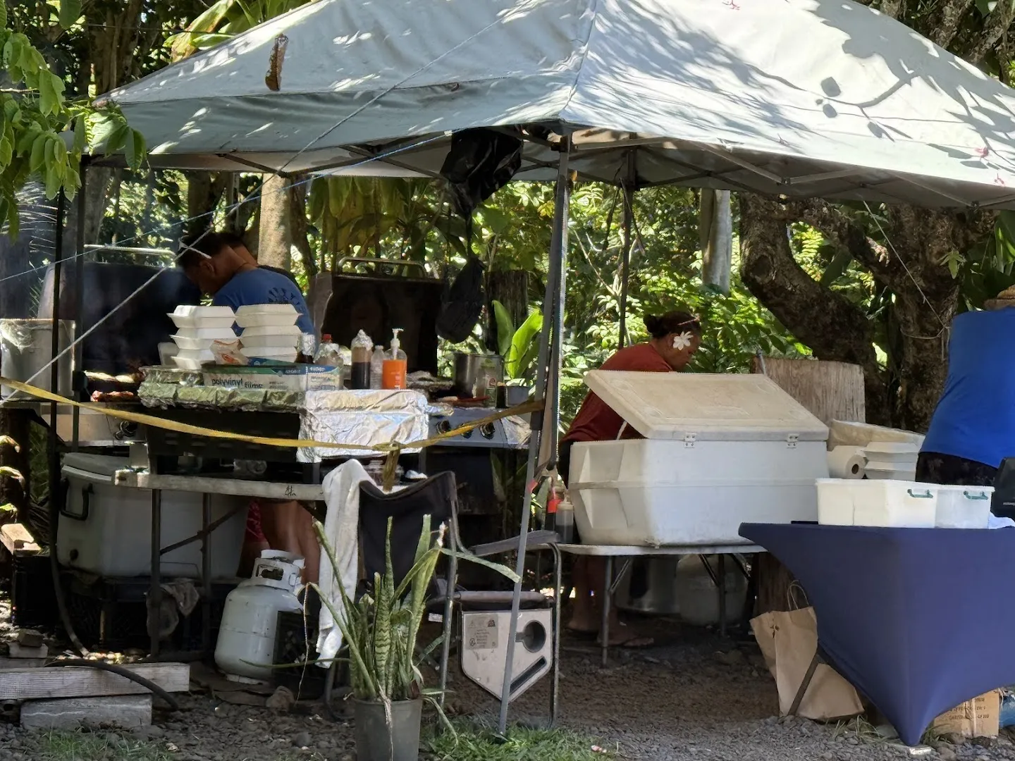 Braddah Hutts BBQ Grill